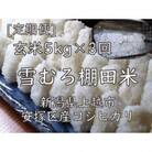 【毎月定期便】雪むろ棚田米コシヒカリ5kg玄米-新潟県上越市安塚区産-全3回