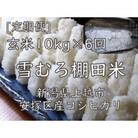 【毎月定期便】雪むろ棚田米コシヒカリ10kg玄米-新潟県上越市安塚区産-全6回