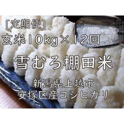 【毎月定期便】雪むろ棚田米コシヒカリ10kg玄米-新潟県上越市安塚区産-全12回