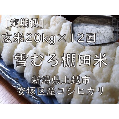 【毎月定期便】雪むろ棚田米コシヒカリ20kg玄米-新潟県上越市安塚区産-全12回