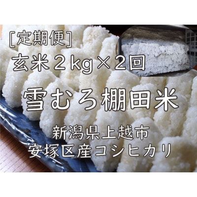 【毎月定期便】雪むろ棚田米コシヒカリ2kg玄米-新潟県上越市安塚区産-全2回