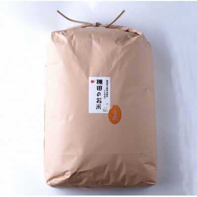 【毎月定期便】雪むろ棚田米コシヒカリ10kg玄米-新潟県上越市安塚区産-全4回