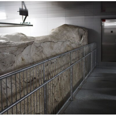 【毎月定期便】雪むろ棚田米コシヒカリ20kg玄米-新潟県上越市安塚区産-全4回