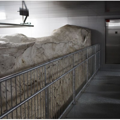 【毎月定期便】雪むろ棚田米コシヒカリ5kg(5kg×1袋)精米-新潟県上越市安塚区産-全6回