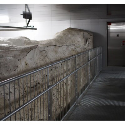 【毎月定期便】雪むろ棚田米-新之助5kg(5kg×1袋)玄米-新潟県上越市安塚区産-全6回