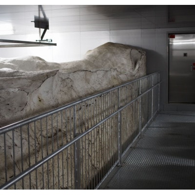 【毎月定期便】雪むろ棚田米 新之助 2kg 精米《新潟県上越市安塚区産》全3回