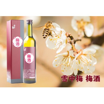 雪中梅　梅酒　500ml　化粧箱入