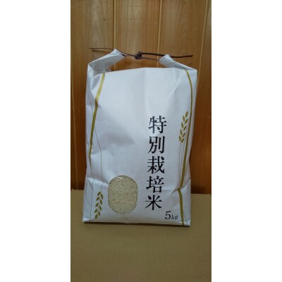 特別栽培米コシヒカリ(白米)5kg×1袋