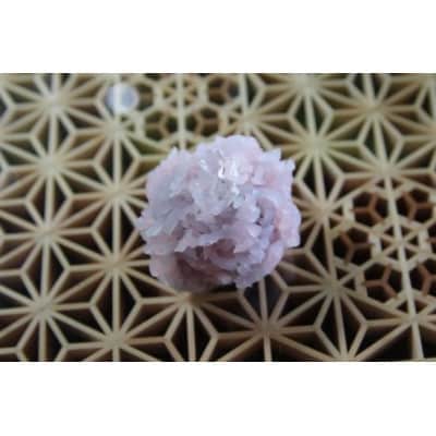 越後高田「四季上生菓子」セット