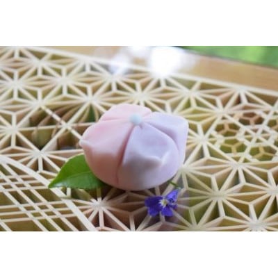 越後高田「四季上生菓子」セット