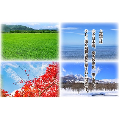 【毎月定期便】【12ヵ月連続お届け】米物語 上越産コシヒカリ 5kg×2袋全12回