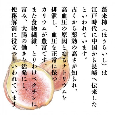 無花果ものがたり 720ml×2本セット