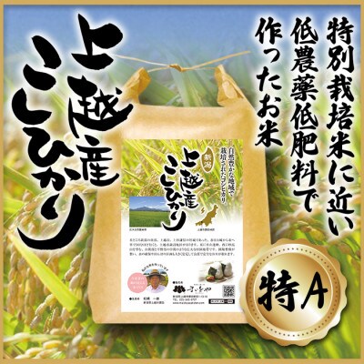 上越産　こしひかり 5kg(精米)