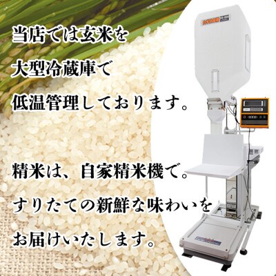 上越産　こしひかり 5kg(精米)