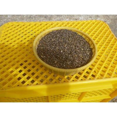 玄そばの実　22,5kg　1袋