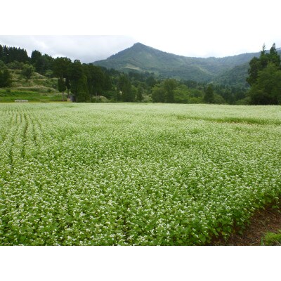 深山育ち、玄そば　5kg