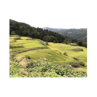 深山そだち、はさかけコシヒカリ　2kg×2袋