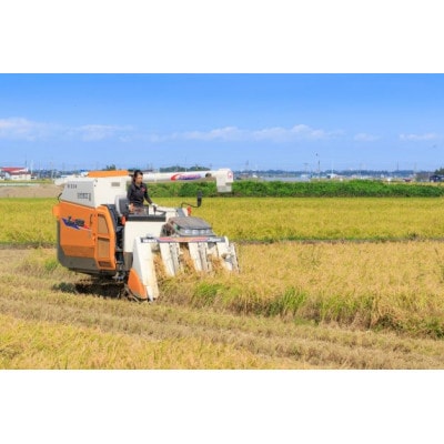 新潟県上越市産　花の米のこだわりこしひかり　3合×3袋