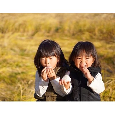 2022年10月発送開始『定期便』新潟県上越市産　花の米の越後かに米こしひかり白米5kg全6回