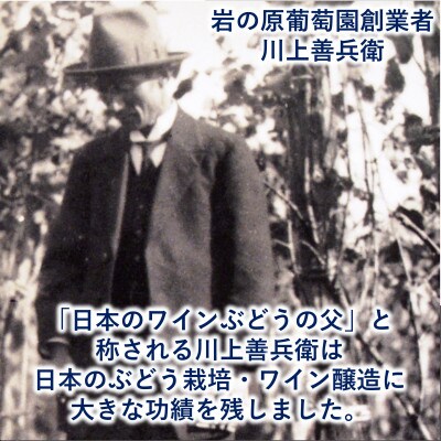 最高級岩の原ワイン　ヘリテイジ