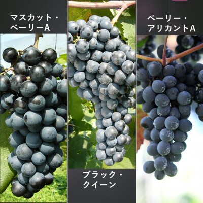 最高級岩の原ワイン　ヘリテイジ