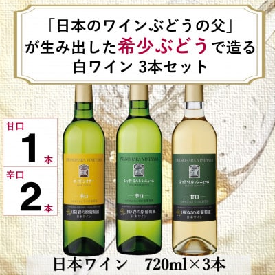 岩の原ワイン　「日本のワインぶどうの父」が生み出した希少ぶどう品種　白3本セット