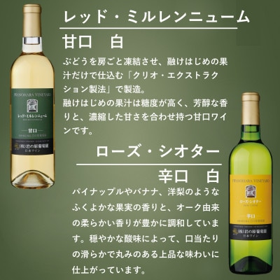 岩の原ワイン　「日本のワインぶどうの父」が生み出した希少ぶどう品種　白3本セット