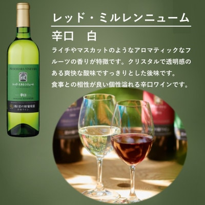 岩の原ワイン　「日本のワインぶどうの父」が生み出した希少ぶどう品種　白3本セット