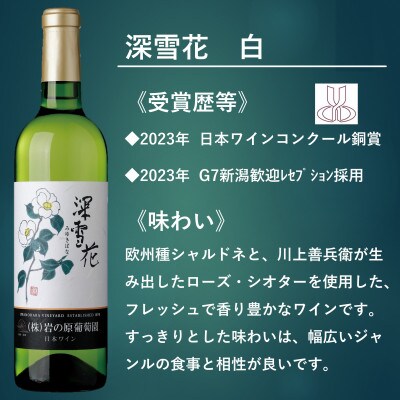 岩の原ワイン　深雪花ハーフサイズ12本セット(赤4本/白4本/ロゼ4本)