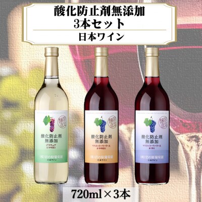 岩の原ワイン　酸化防止剤無添加　3本セット