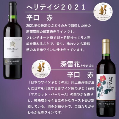フェミナリーズ世界ワインコンクール2024金賞受賞　岩の原ワイン6本セット