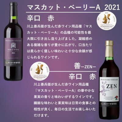 フェミナリーズ世界ワインコンクール2024金賞受賞　岩の原ワイン6本セット