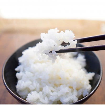 【令和6年産 2024年10月より順次発送】新潟県上越産　特別栽培米新之助【白米】　5kg×1袋