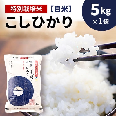 【令和6年産 2024年10月より順次発送】新潟県上越産　特別栽培米コシヒカリ【白米】5kg×1袋