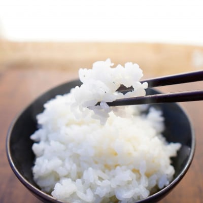 【令和6年産 2024年10月より順次発送】有機栽培米コシヒカリ【無洗米】5kg×1袋　新潟県上越産