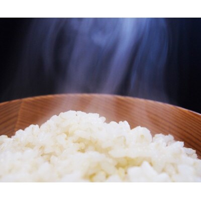 【分づき米】2kg×2袋「Riki-saku コシヒカリ」アフコ・秋山農場のPB米