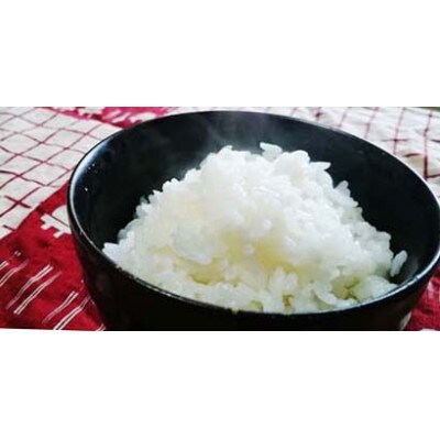 2023年3月発送開始『定期便』アフコ・秋山農場の5Kg×1袋Riki-sakuコシヒカリ全12回