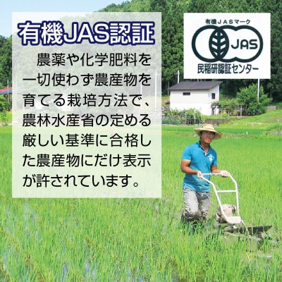 新潟県上越市産　有機JAS認証コシヒカリ　3kg　無洗米
