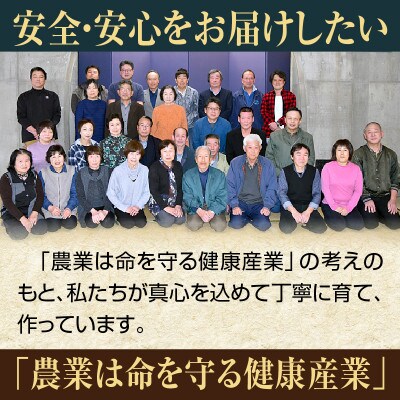 新潟県上越市産　有機JAS認証コシヒカリ　3kg　無洗米
