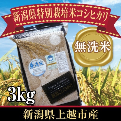 新潟県上越市産　新潟県特別栽培米コシヒカリ　3kg　無洗米