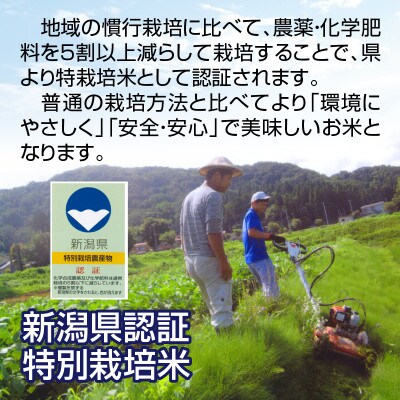 新潟県上越市産　新潟県特別栽培米コシヒカリ　3kg　無洗米