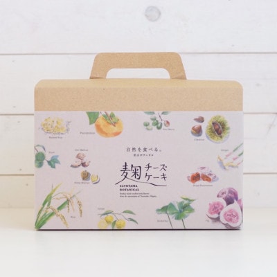 麹チーズケーキ おすすめ4種 つめ合わせBOX(無添加・グルテンフリー)[里山ボタニカル]