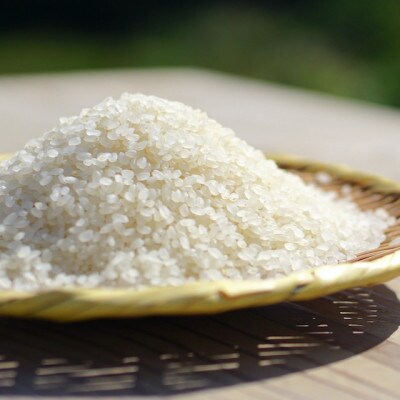 【白米】R5年産 コシヒカリ5kg  一等米100% / 雪国棚田米