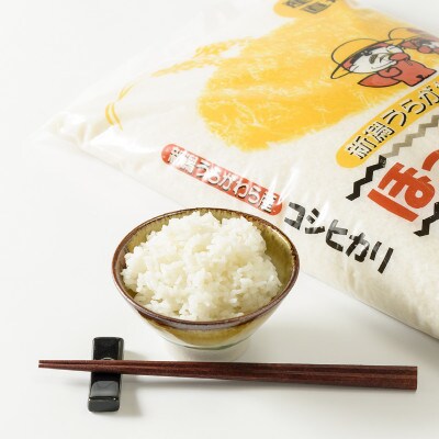 令和5年産/「新潟県産」豊かな自然で育てた上質なコシヒカリ25kg【精米5kg×5袋】