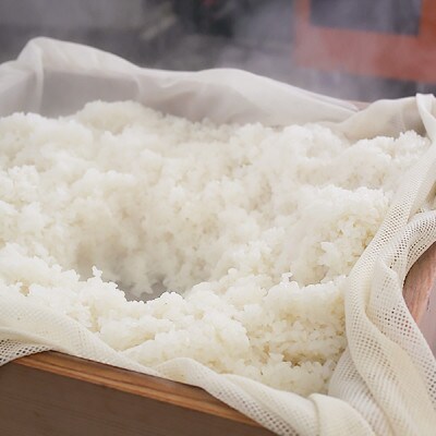 ブランドもち米「こがねもち」令和6年産 新潟県産/【精米4kg(2kg×2袋)】