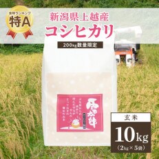 【数量限定】令和4年/新潟上越産「標高480mの山間地で育てた棚田米コシヒカリ」玄米10kg