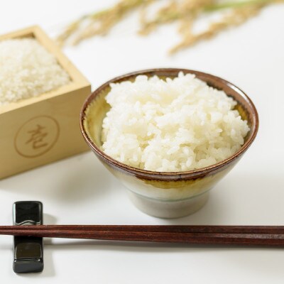 【数量限定】 令和6年/新潟上越産「標高480mの山間地で育てた棚田米コシヒカリ」精米4kg