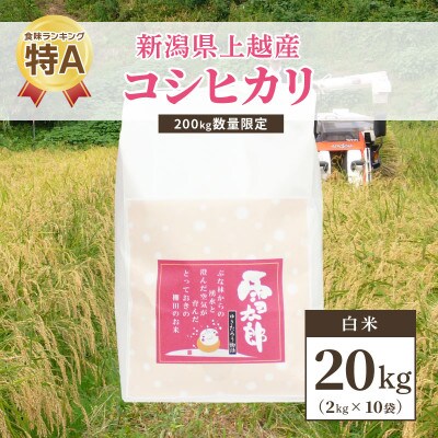 【数量限定】令和5年/新潟上越産「標高480mの山間地で育てた棚田米コシヒカリ」精米20kg