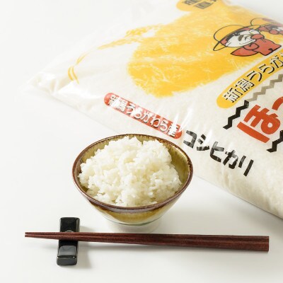 令和6年産 「新潟県産」コシヒカリ5kg×1袋/みずほの輝き5kg×1袋