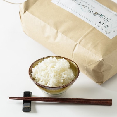 新潟県上越産米/令和5年/山間地で育てた「棚田米 コシヒカリ 精米25kg」(5kg×5袋)